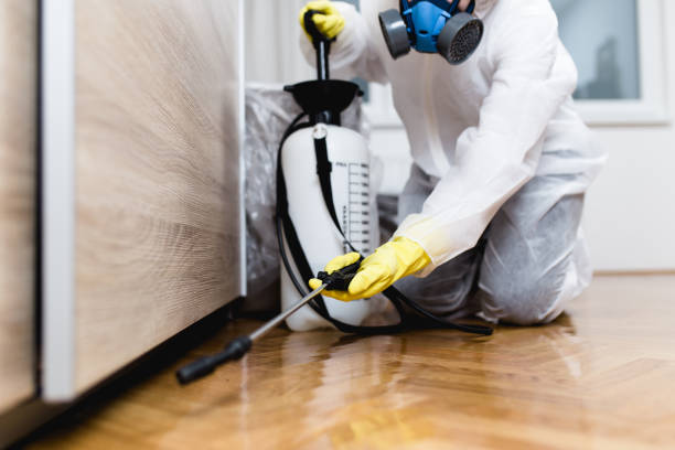 Best Affordable Pest Control Services  in Atoka, NM