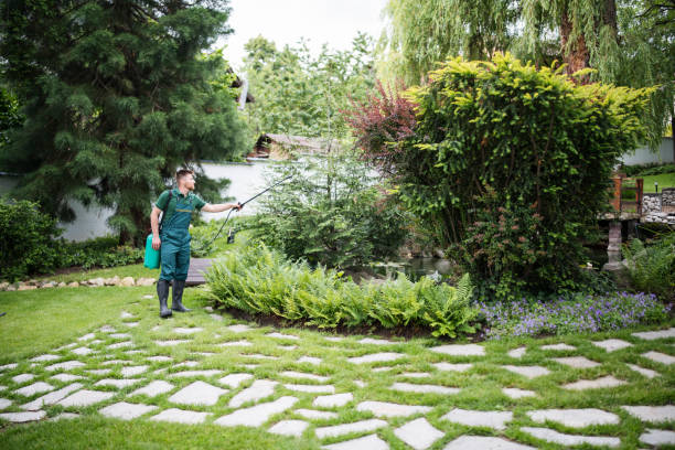 Best Local Pest Control Services  in Atoka, NM