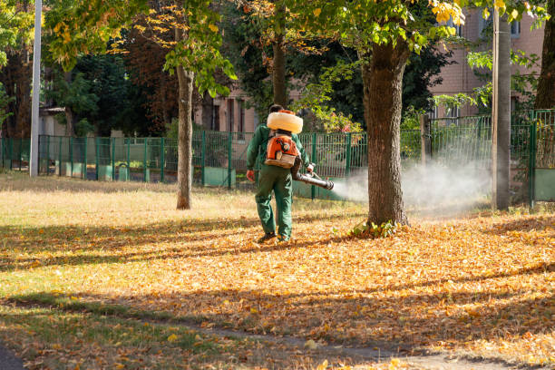 Best Pest Removal Services  in Atoka, NM