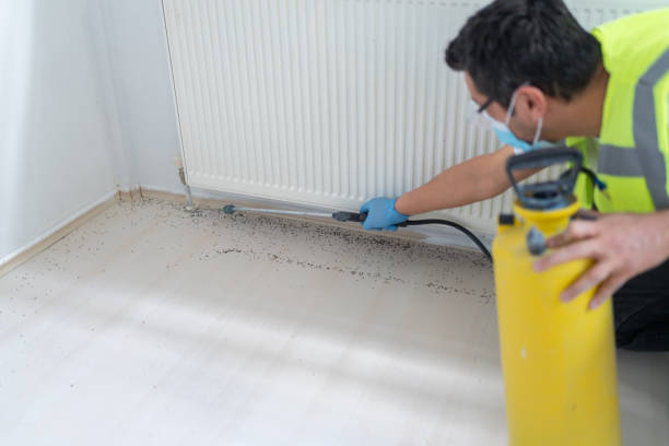 Best Commercial Pest Control Services  in Atoka, NM